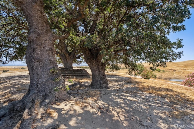4411 Camino Vaqueros, Brentwood, CA 94513 - view of yard