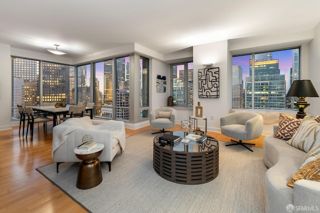 188 Minna St Unit 24A, San Francisco, CA 94105 - living room featuring wood finished floors, a skyline view, and baseboards