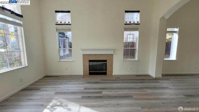 unfurnished living room featuring a healthy amount of sunlight and light wood-type flooring