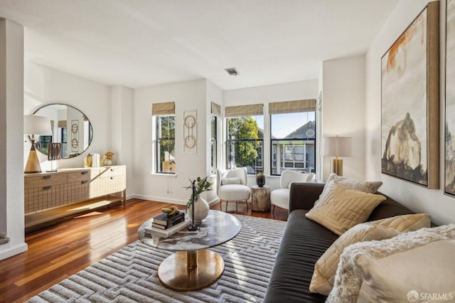 living room featuring wood-type flooring