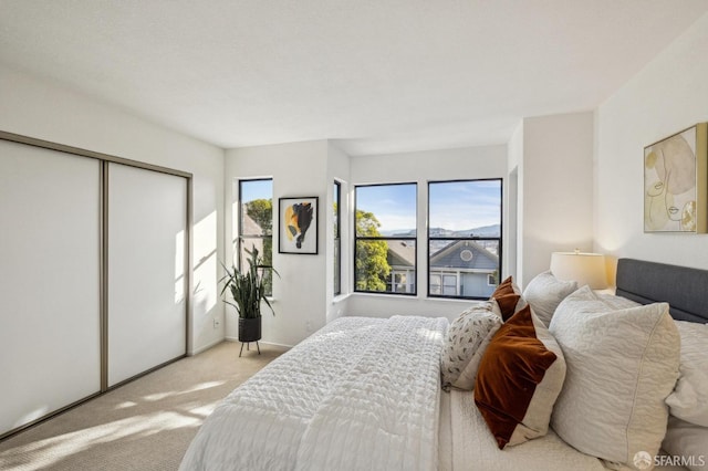 bedroom featuring light carpet and a closet