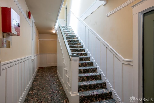 1380 Washington St, San Francisco, CA 94109 - stairs with a decorative wall, a wainscoted wall, and carpet flooring