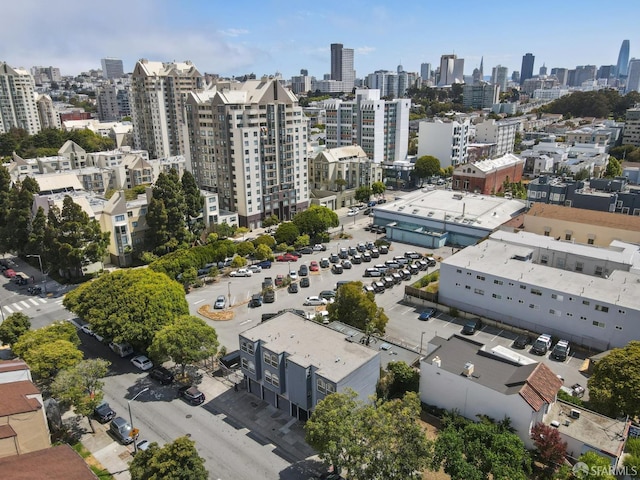 1110 Steiner St, San Francisco, CA 94115 - photo 3