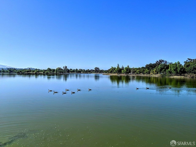 38002 Stenhammer Dr, Fremont, CA 94536 - water view