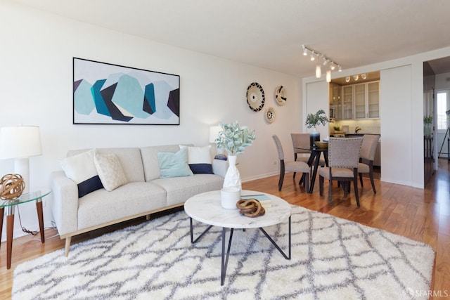 living room featuring wood-type flooring