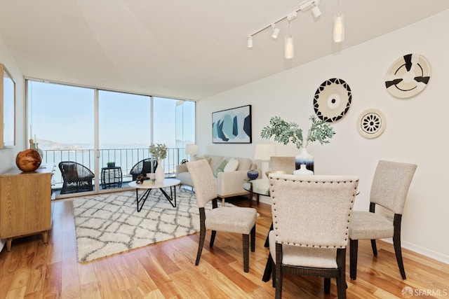 living room with light hardwood / wood-style floors and expansive windows