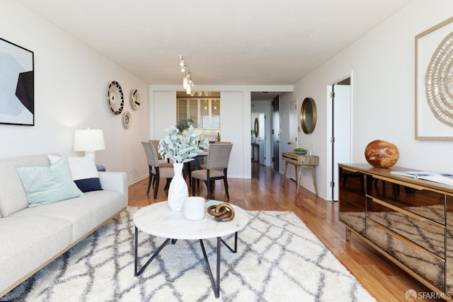 living room with wood-type flooring