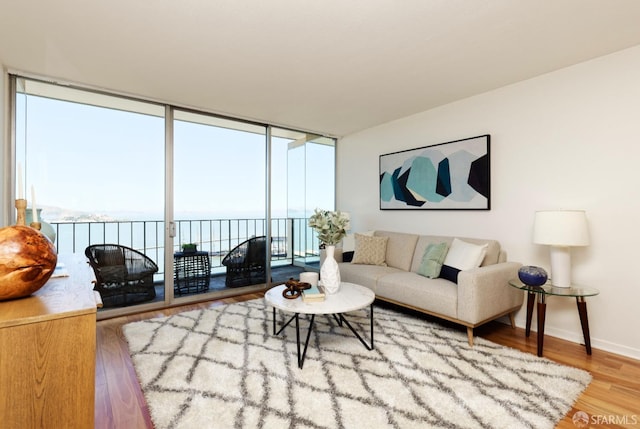 living room with wood-type flooring and expansive windows