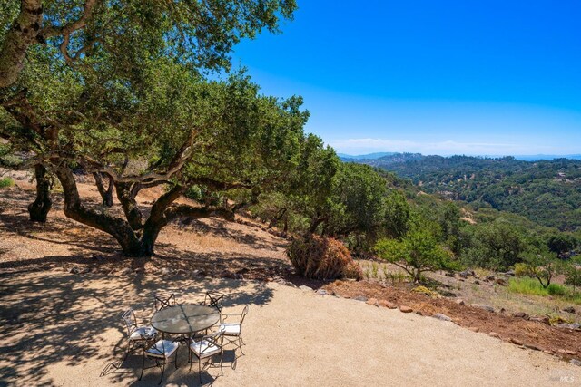 740 Shiloh Ter, Santa Rosa, CA 95403 - photo 67