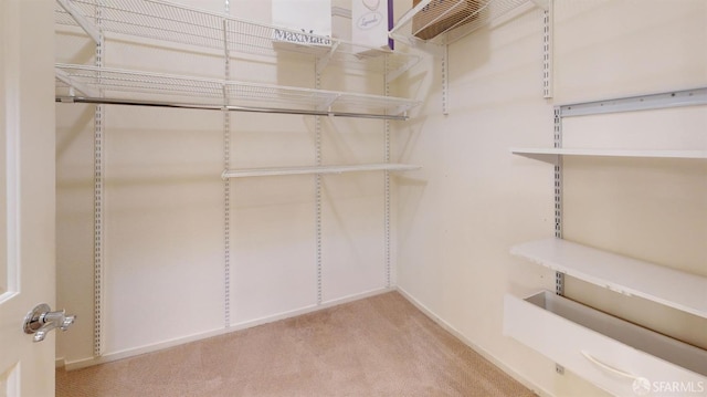 spacious closet with light colored carpet