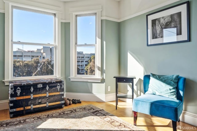 living area featuring baseboard heating and hardwood / wood-style flooring