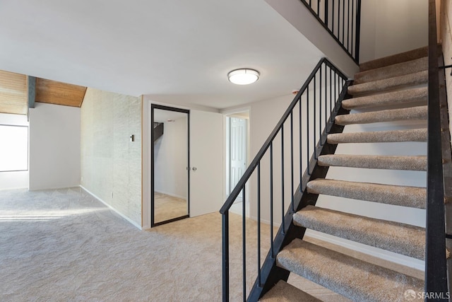 staircase with carpet floors