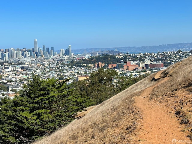 600 Ellsworth St, San Francisco, CA 94110 - water view featuring skyline