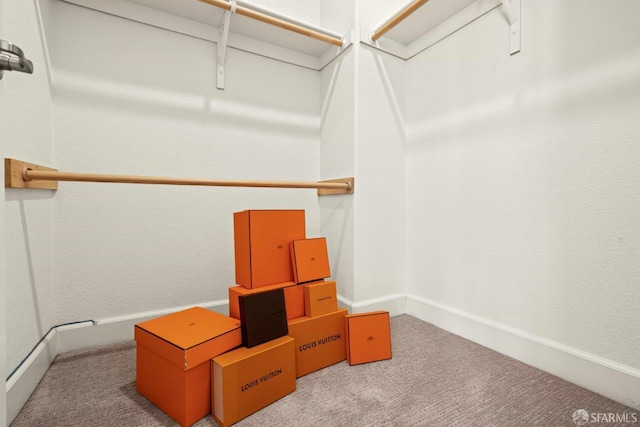382 Crestview Cir, Daly City, CA 94015 - walk in closet featuring carpet