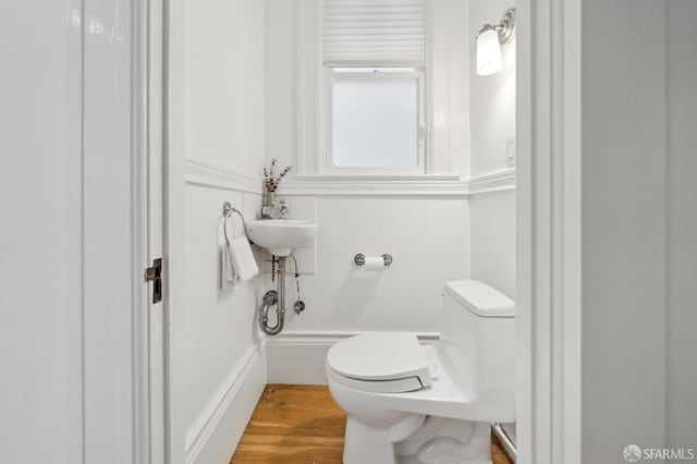 bathroom featuring toilet and wood-type flooring