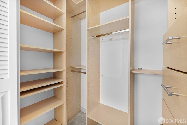 view of spacious closet