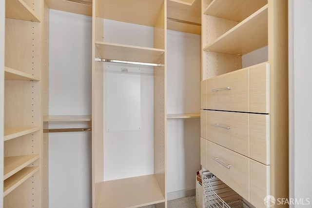 view of walk in closet