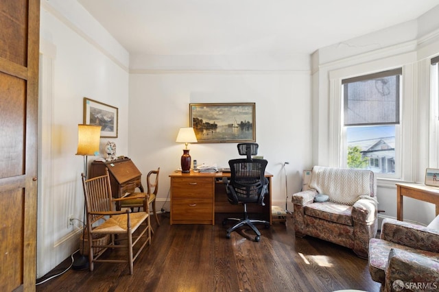 office space featuring dark hardwood / wood-style flooring