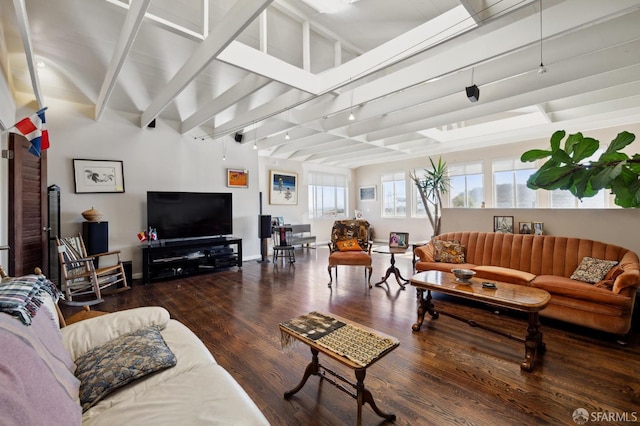 living room featuring dark wood-type flooring