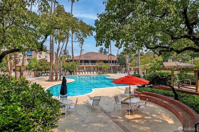 view of swimming pool with a patio area