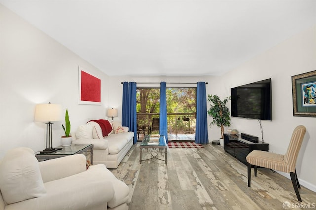 living room featuring wood-type flooring