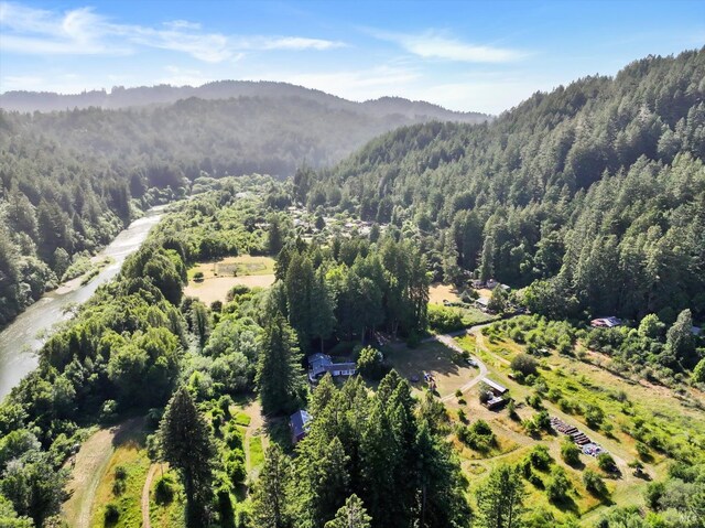 18300 Neeley Rd, Guerneville, CA 95446 - photo 23