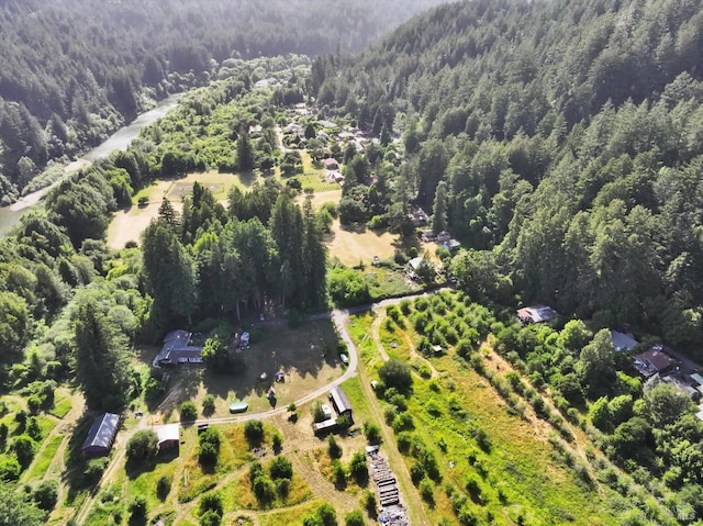 18300 Neeley Rd, Guerneville, CA 95446 - photo 25