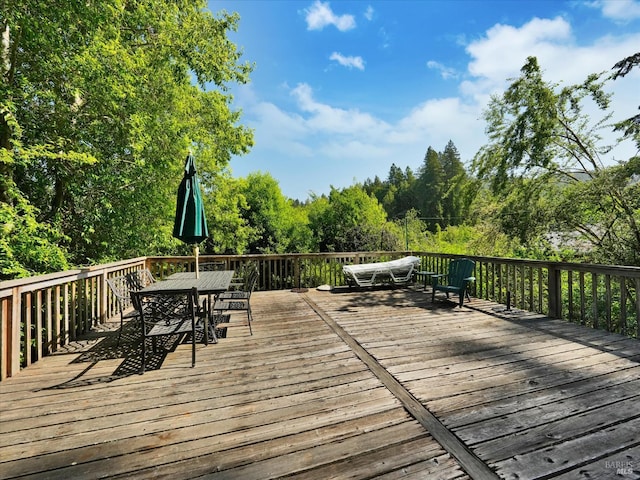 18300 Neeley Rd, Guerneville, CA 95446 - photo 7