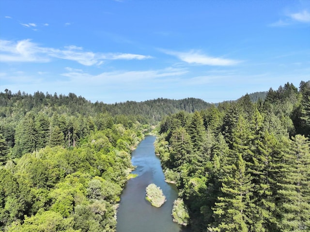 18300 Neeley Rd, Guerneville, CA 95446 - photo 22