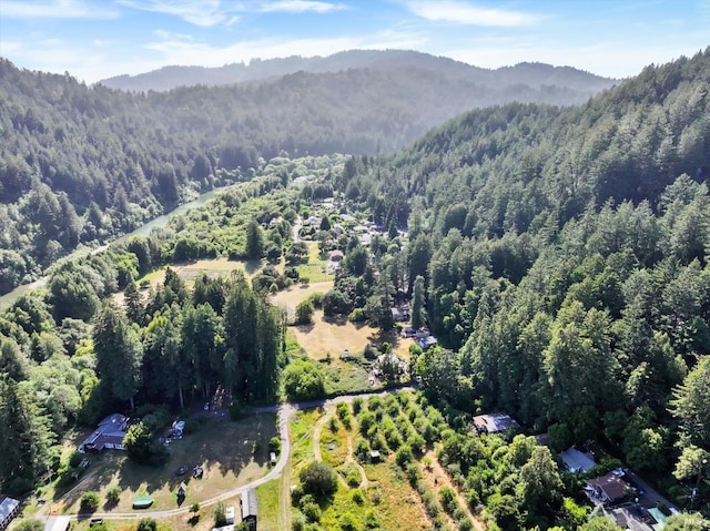 18300 Neeley Rd, Guerneville, CA 95446 - photo 24