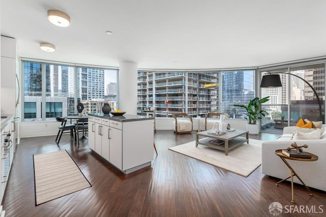 301 Main St Unit 10H, San Francisco, CA 94105 - living area featuring a city view and dark wood-style floors
