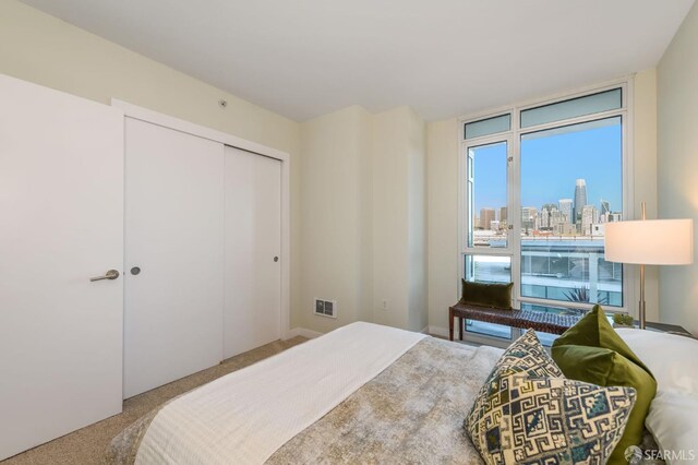 bedroom with carpet flooring and a closet