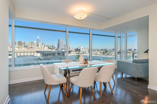 dining room with dark hardwood / wood-style floors