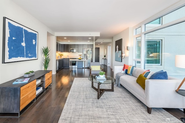 living room with dark hardwood / wood-style flooring