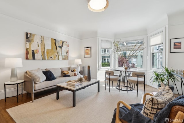 living area featuring baseboards and wood finished floors