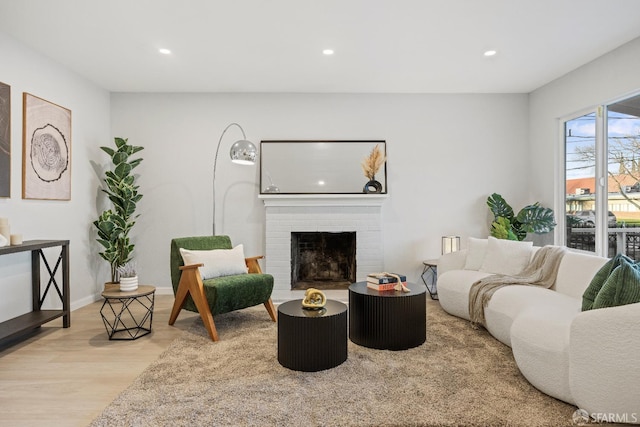 living room featuring a fireplace and light wood-type flooring