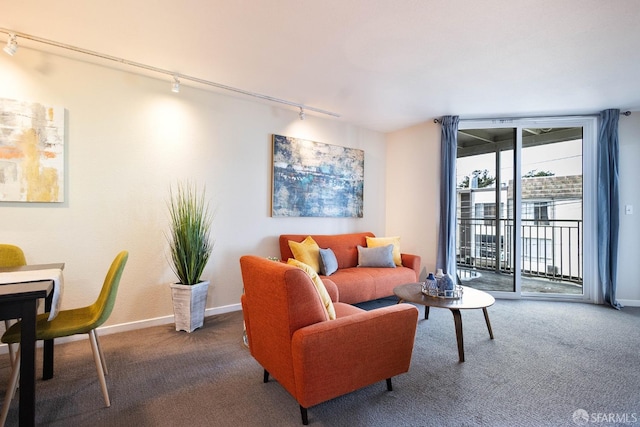 1360 9th Ave Unit 7, San Francisco, CA 94122 - carpeted living room with rail lighting and baseboards
