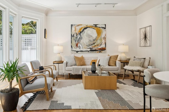 1205 Oak St Unit 2, San Francisco, CA 94117 - living area featuring light wood-style floors