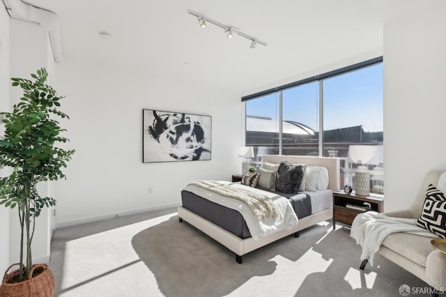 bedroom featuring track lighting