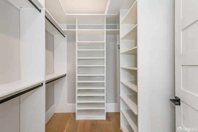 spacious closet with light wood-type flooring