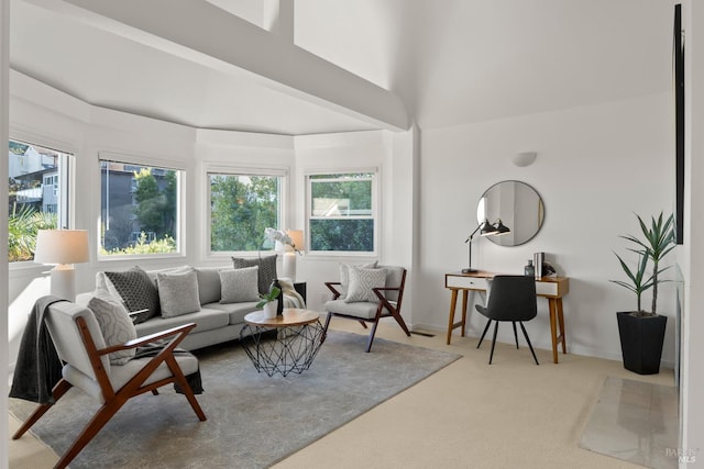 carpeted living room with a high ceiling and a healthy amount of sunlight