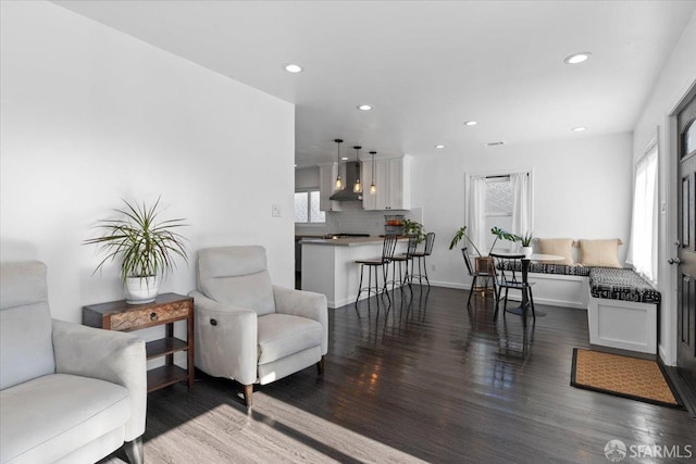 living room with dark hardwood / wood-style flooring