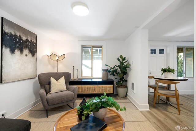 1141 Church St, San Francisco, CA 94114 - living area featuring baseboards and wood finished floors