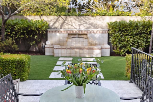 view of yard with a patio area