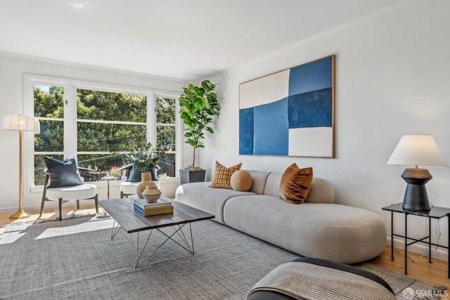 living room featuring baseboards and wood finished floors