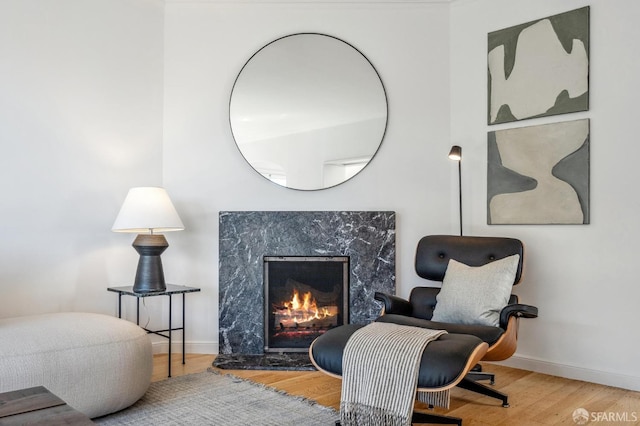 living area featuring wood finished floors, baseboards, and a premium fireplace