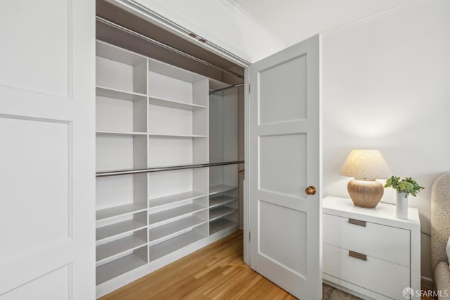 view of closet