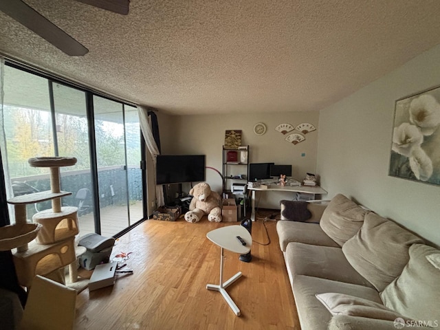 living room with a wall of windows, a textured ceiling, and light hardwood / wood-style flooring