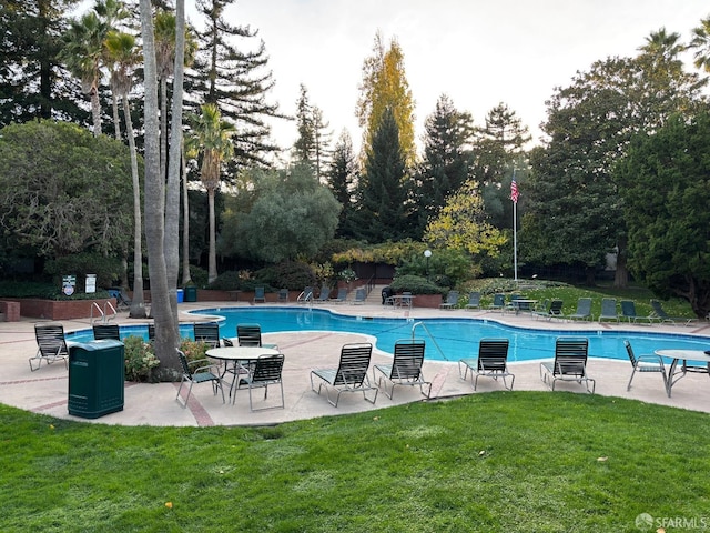 view of swimming pool with a patio area and a yard