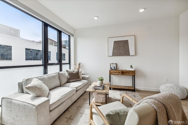 living room featuring light hardwood / wood-style floors